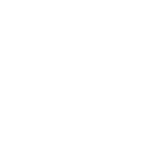 REGLOPLAS